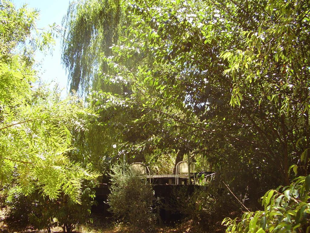 Black Cockatoo Lodge Nannup Exterior photo