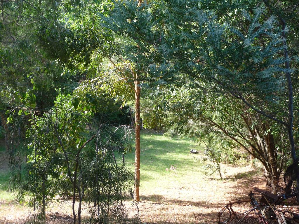 Black Cockatoo Lodge Nannup Exterior photo